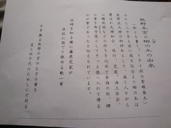 DSC00003
