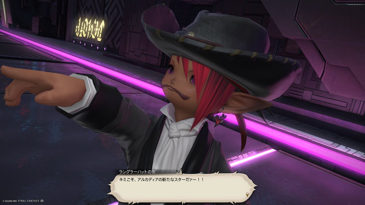 至天の座アルカディア：ノーマル : のら散歩