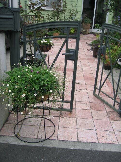 ガーデンゲートでエリゲロンがお出迎え ロココのやさしい時間