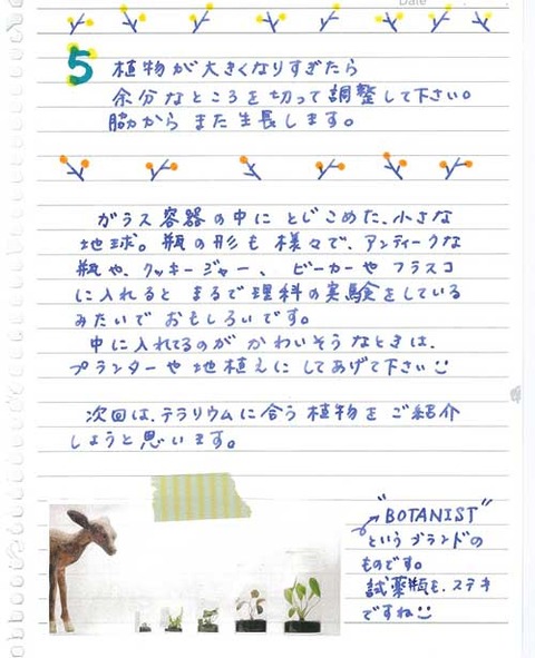 5_koyayashi_0630c