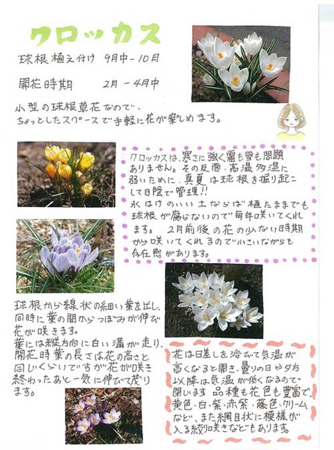 6-kawai-0126