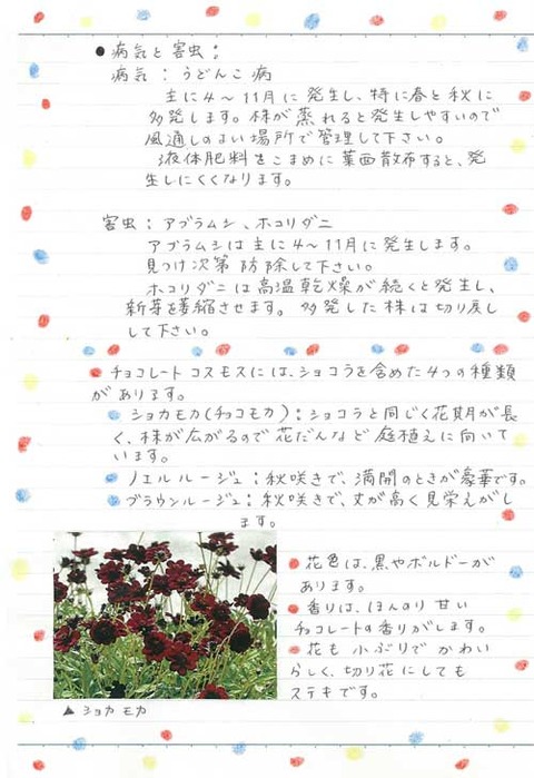 2_kobayashi_0731c