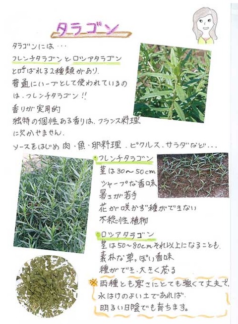 4-kawai_0624
