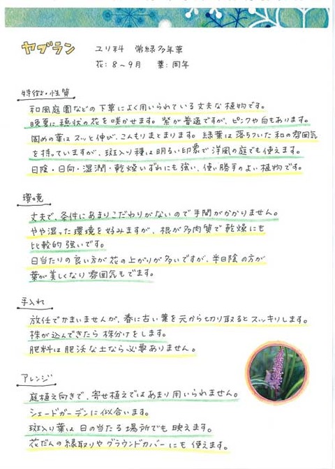 3_suto_0430b