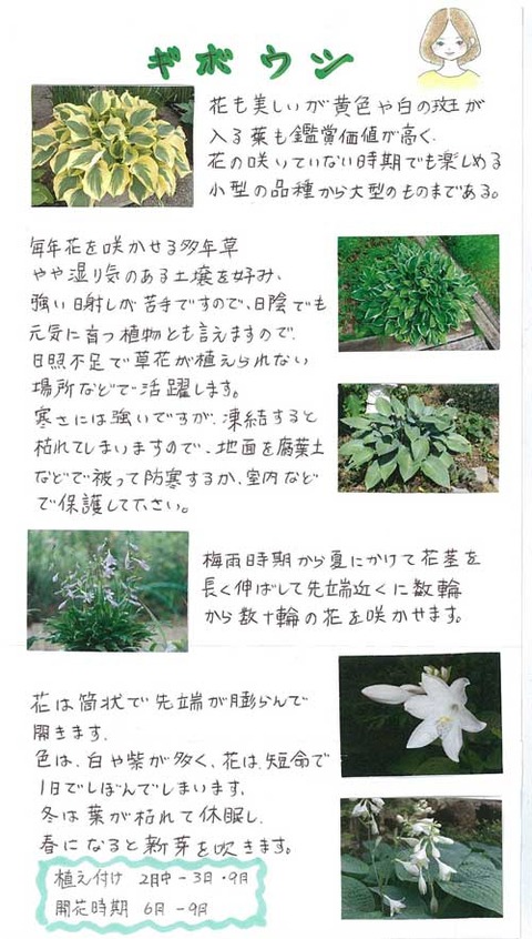 5-kawai_0224