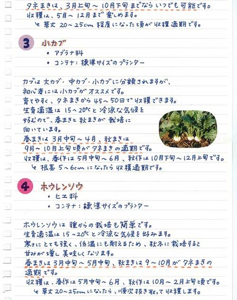 5_suto_0127b