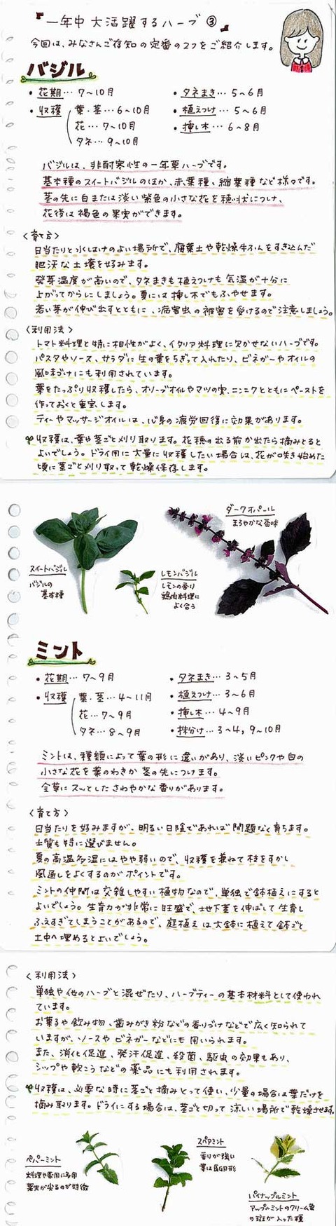 2_suto_0221