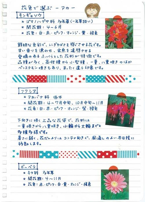 4_suto_0729a