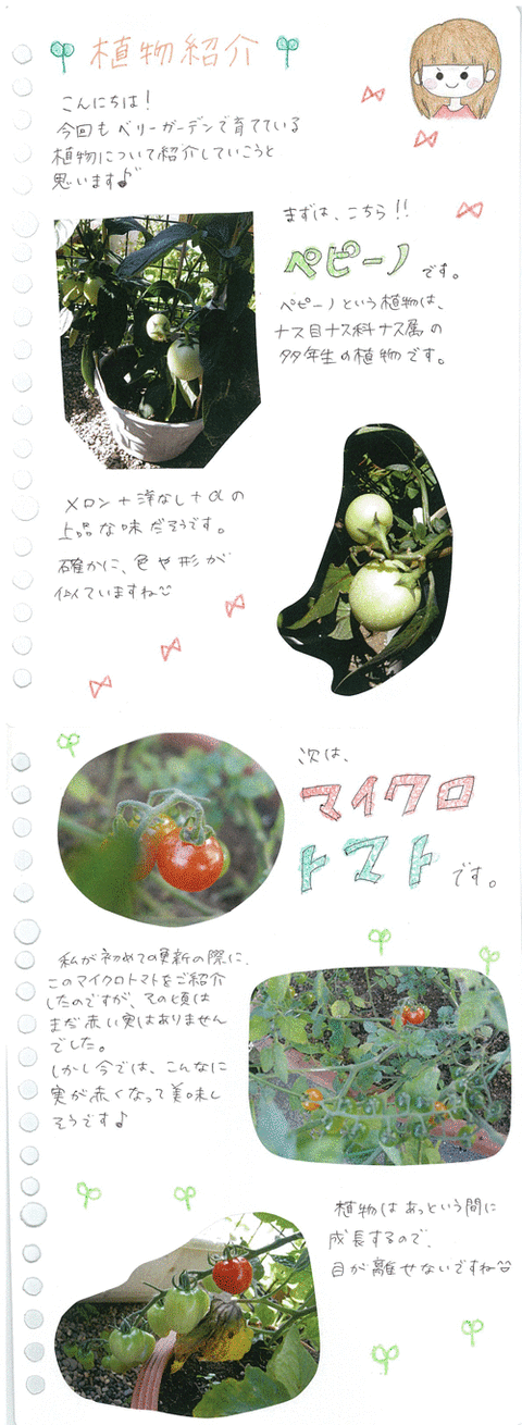 img-630104134-0001