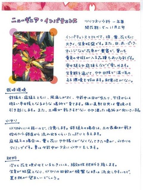 4_suto_0527b