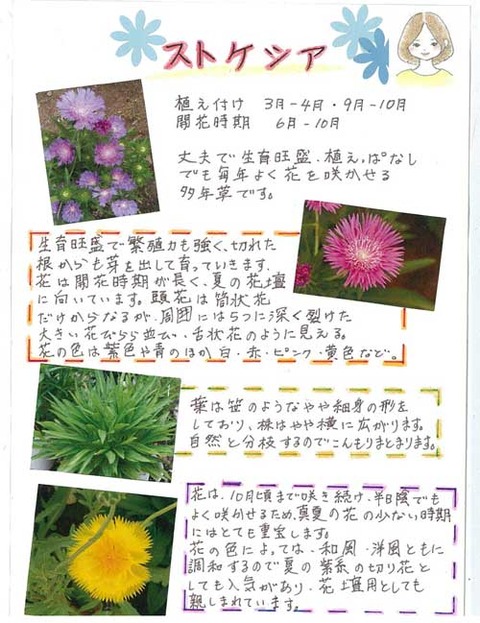 7-kawai-0213