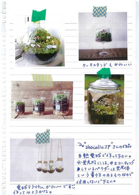 5_koyayashi_0630d