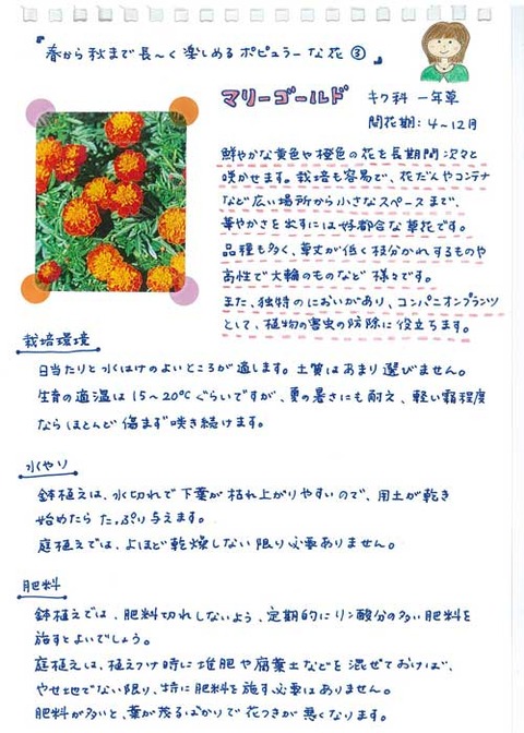 4_suto_0428a