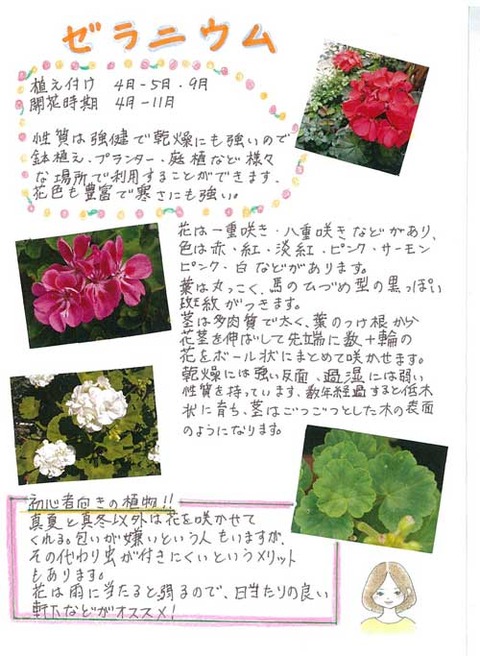 5-kawai_0526