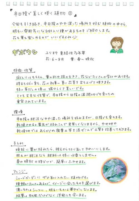 3_suto_0430a