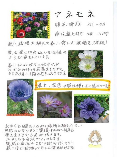 5-kawai_1027