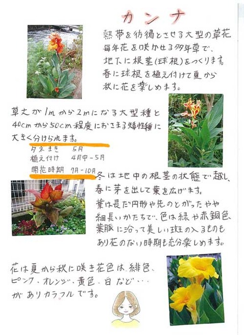 5-kawai_0730