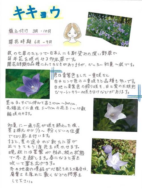 6-Kawai-0621