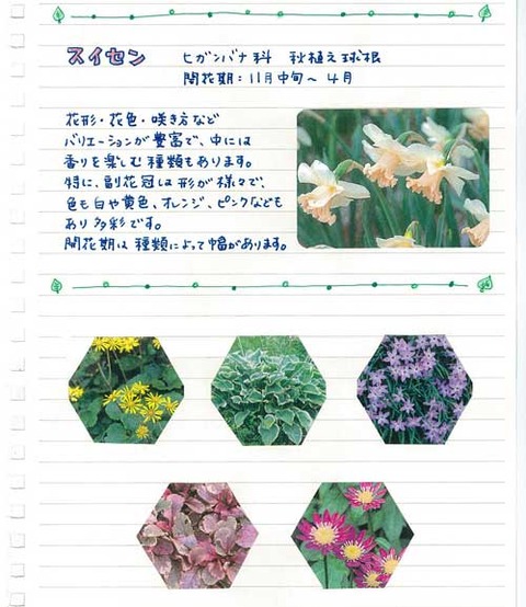 4_suto_1028b