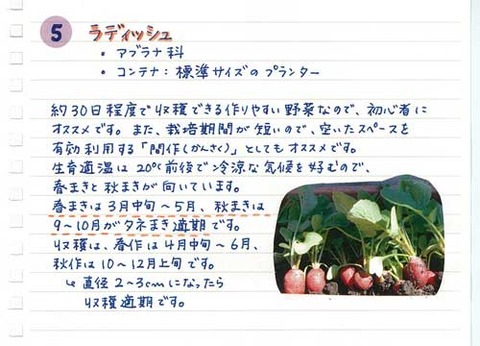 5_suto_0127c