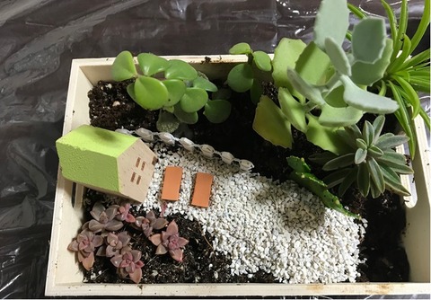 植物を植えていく