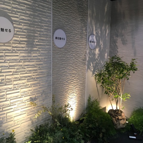 IMG-1058