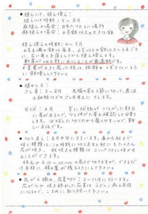 2_kobayashi_0731b