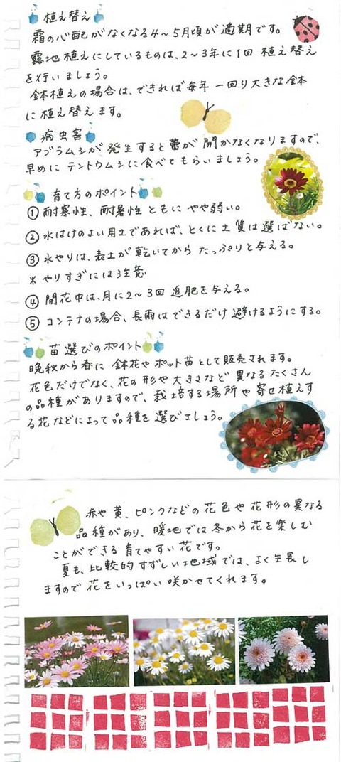 3_kobayashi_1029b