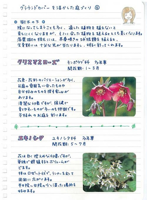4_suto_1028a
