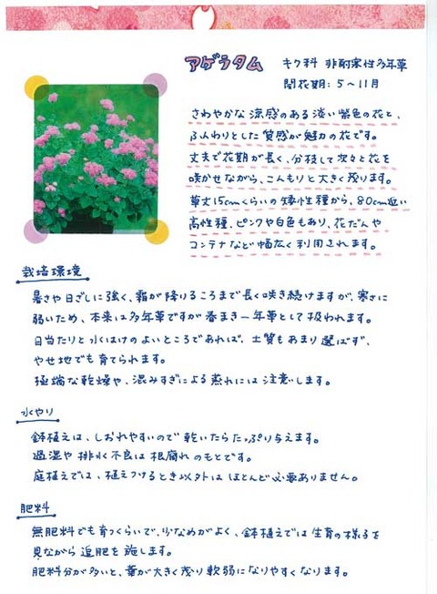 4_suto_0428b
