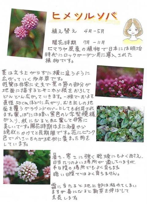 6-kawai-0717