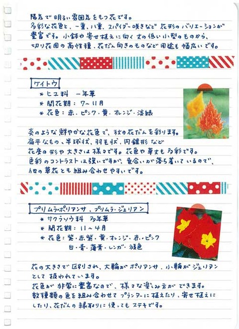 4_suto_0729b