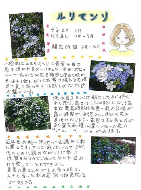 7-kawai-0513