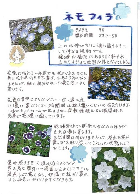 5-kawai_0825