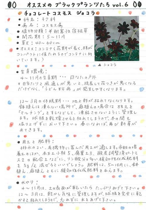 2_kobayashi_0731a