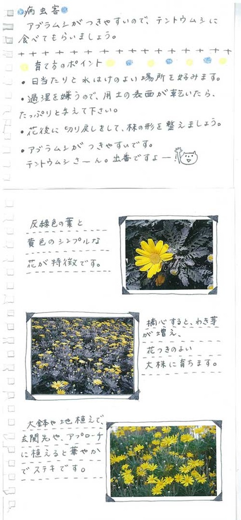 4_kobayashi_0128b