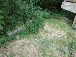 2衛所西側基礎