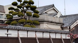 33.上月邸 坊主町