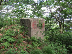 15¥³¥ó¥¯¥ê¡¼¥È¹½Â¤Êª2