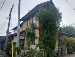 41�δ��դ�����