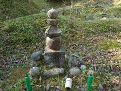 20250504_072820
