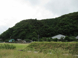 武田氏館跡