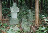 実家近くの廃寺跡に眠る石塔