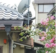 玄関か