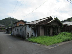29¼¯¸¶Ã϶蹩°÷½É¼Ë7