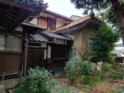 38�δ��դ�����Ĺ�ͻ԰�Į