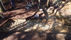 9.富雄丸山古墳埴輪列
