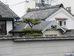 33.江戸川ならまち店 下御門町