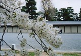 日本人の心