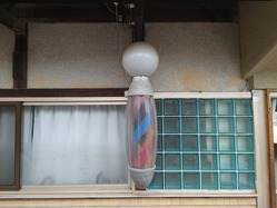 19��������ȱŹ